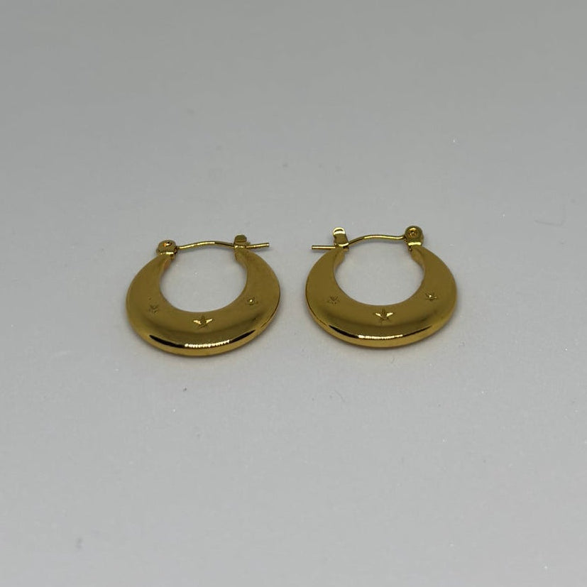 Drop Earring